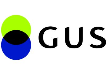 Badania ankietowe – GUS