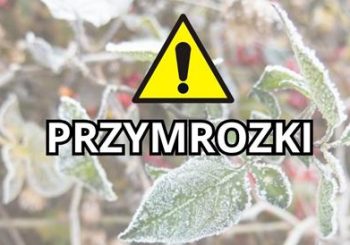 Ostrzeżenie meteorologiczne – PRZYMROZKI