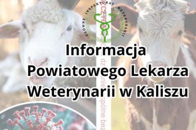 Informacja Powiatowego Lekarza Weterynarii w Kaliszu