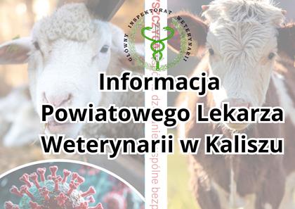 Informacja Powiatowego Lekarza Weterynarii w Kaliszu
