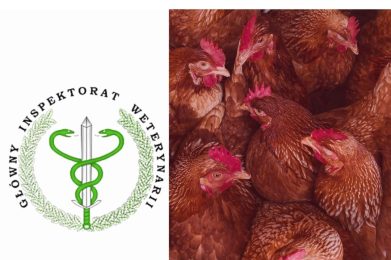 Akcja informacyjna dotycząca szczepień drobiu przyzagrdowego