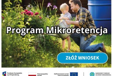 Program “Mikroretencja”