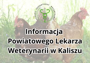 Szczepienie drobiu przyzagrodowego przeciwko rzekomemu pomorowi drobiu